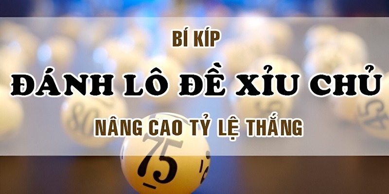 Hiểu xỉu chủ là gì và nghiên cứu số liệu thống kê