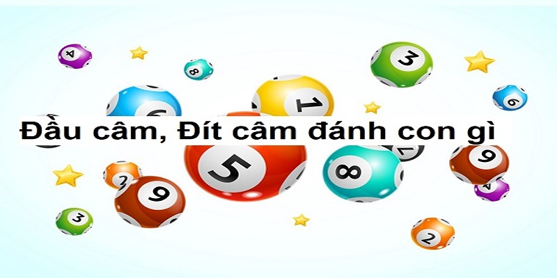 Đầu 5 câm mai đánh con gì dễ thắng?